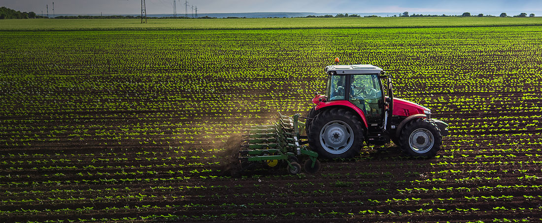 Kredyt Agro Rzeczówka Light