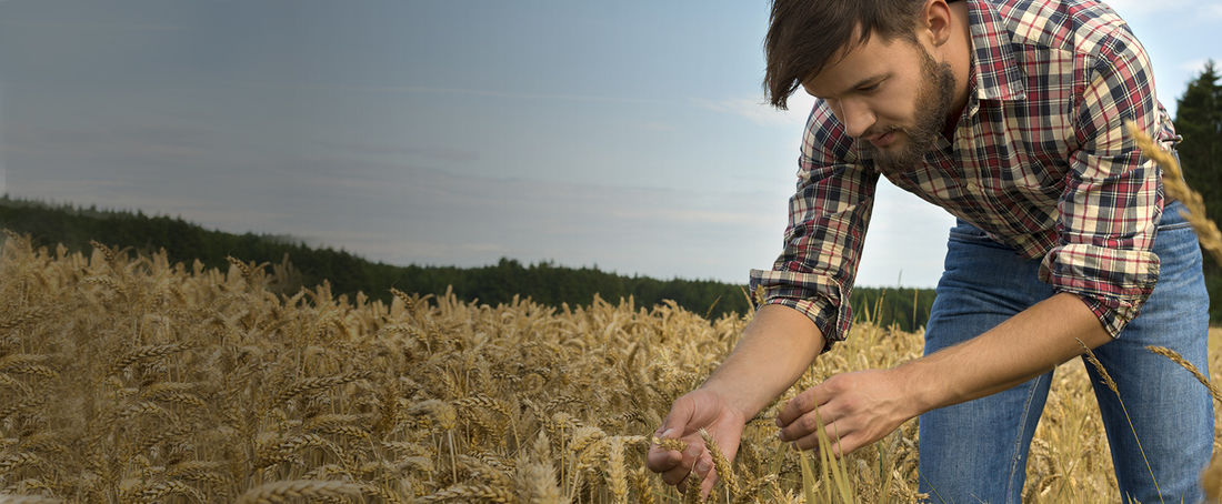 Kredyt preferencyjny - Linia K02