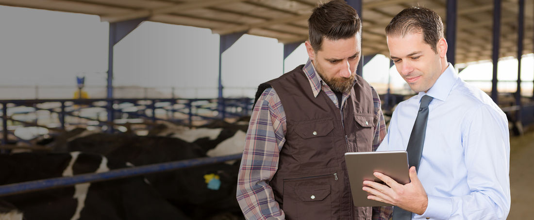 Finansowanie powiązań produkcyjnych w rolnictwie