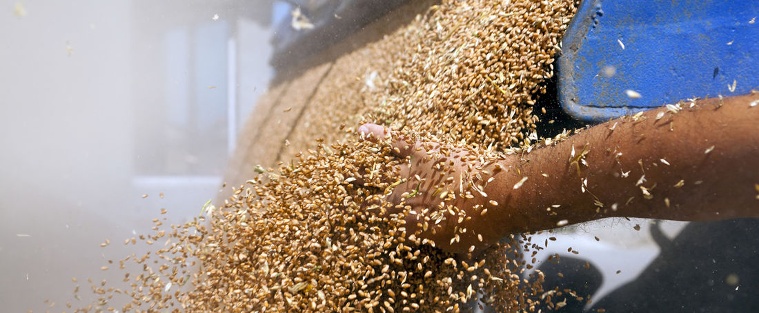 Finansowanie powiązań produkcyjnych w rolnictwie