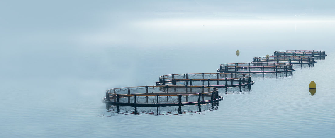 Kredyt preferencyjny - Linia RR