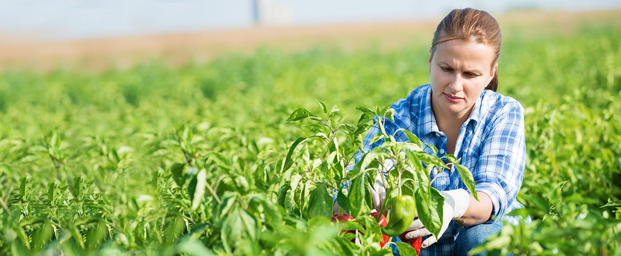 Konsolidacja kredytów