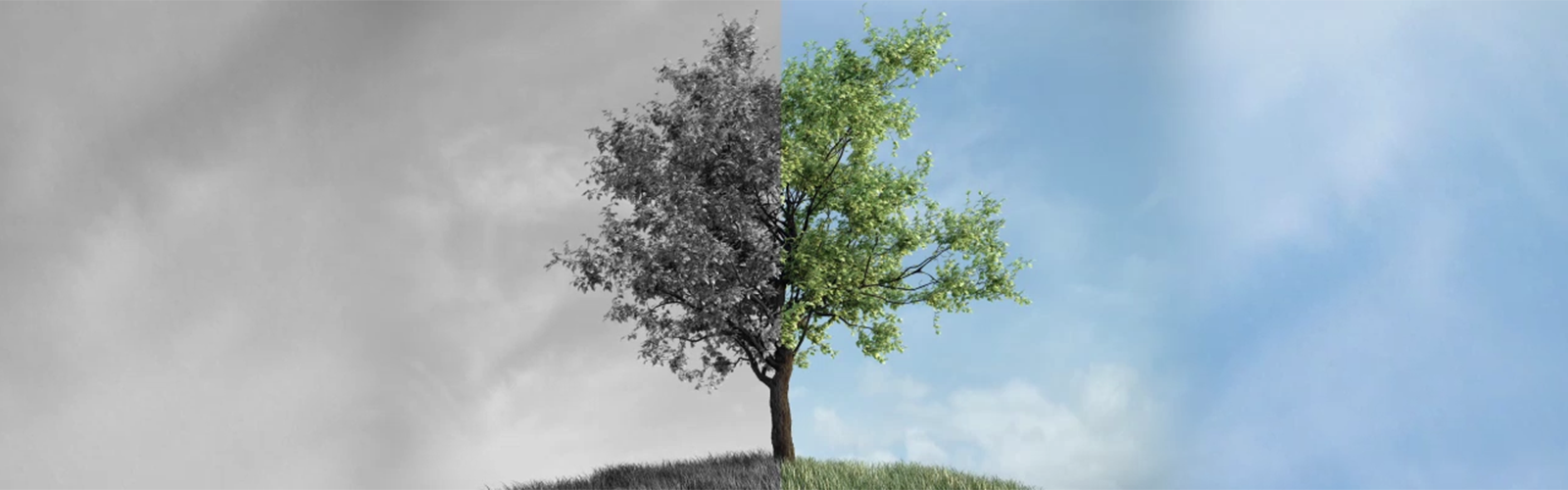 Kampania Bank Zielonych Zmian