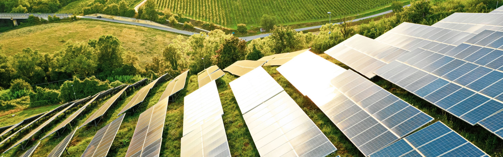 Proekologiczne produkty i usługi