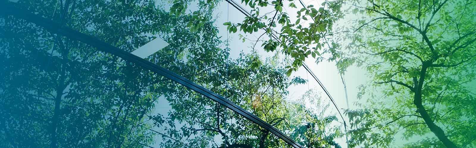 Program czyste powietrze