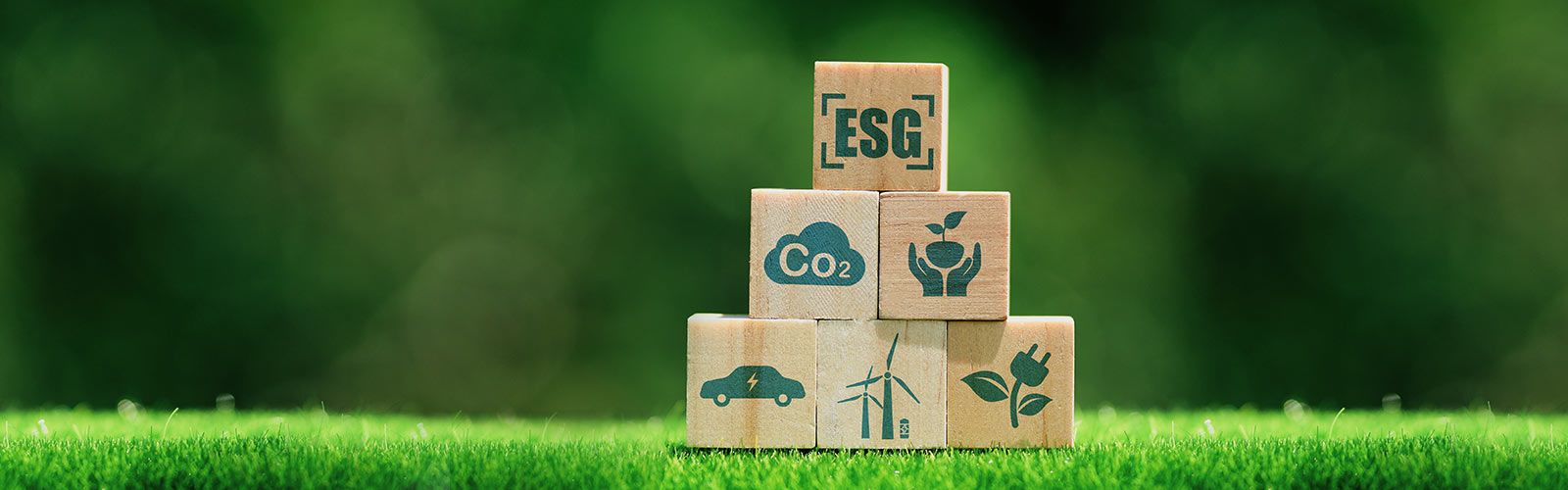 Oprocentowanie i wyniki obserwacji zakończonych subskrypcji