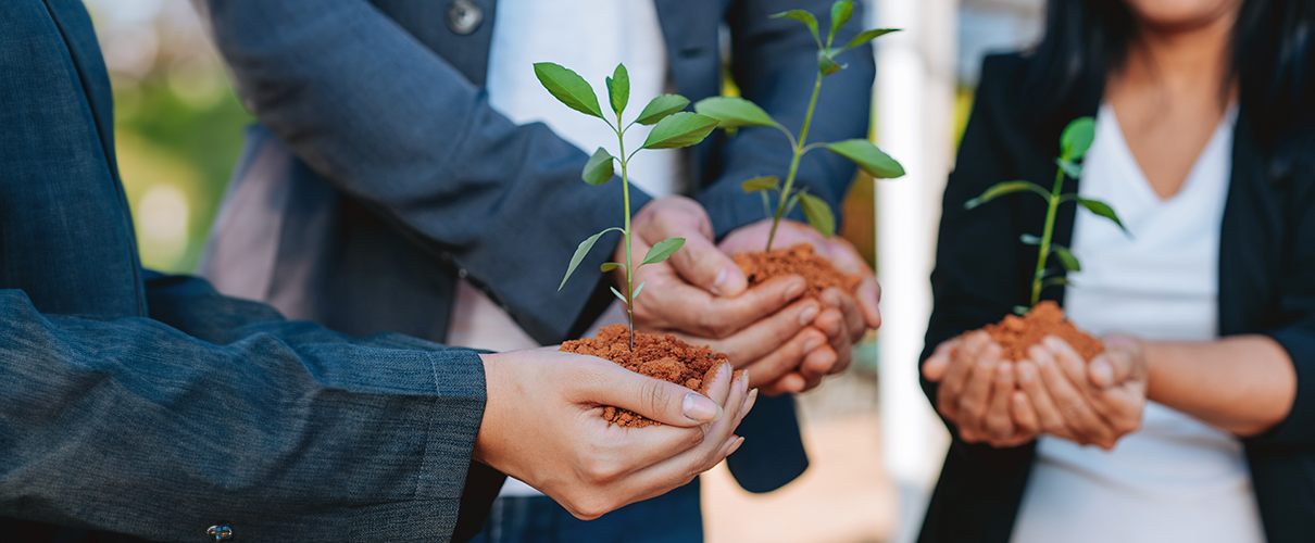 Rozwój trzeciego sektora