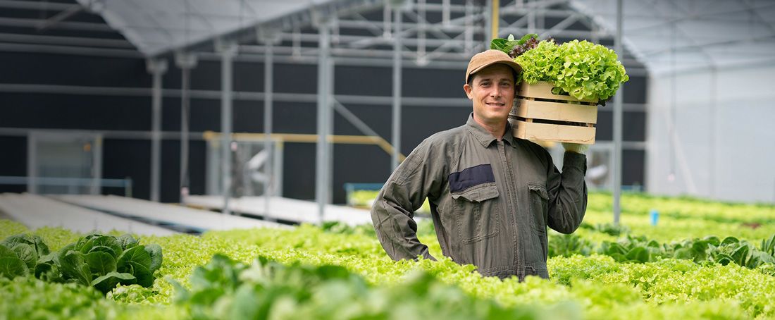Mężczyzna w szklarni