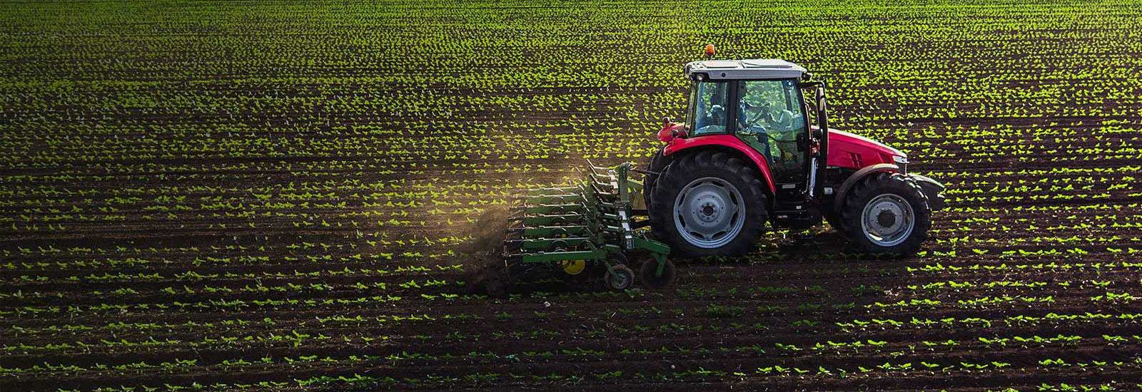 traktor na zielonym polu