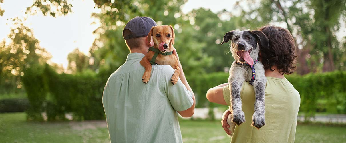 Kobieta i mężczyzna niosą psy na rękach