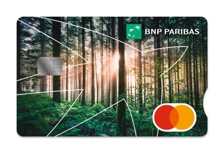 wzór GALB01 Las o Świcie