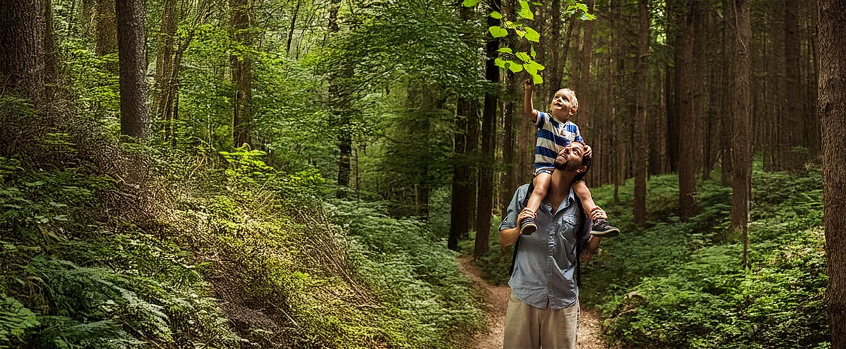 Tata z dzieckiem na barana wędrują po lesie