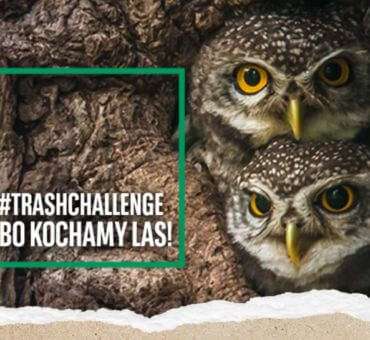 1135 dni nieprzerwanej pracy pracowników BNP Paribas na rzecz potrzebujących w 2019 roku