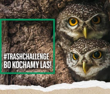 1135 dni nieprzerwanej pracy pracowników BNP Paribas na rzecz potrzebujących w 2019 roku