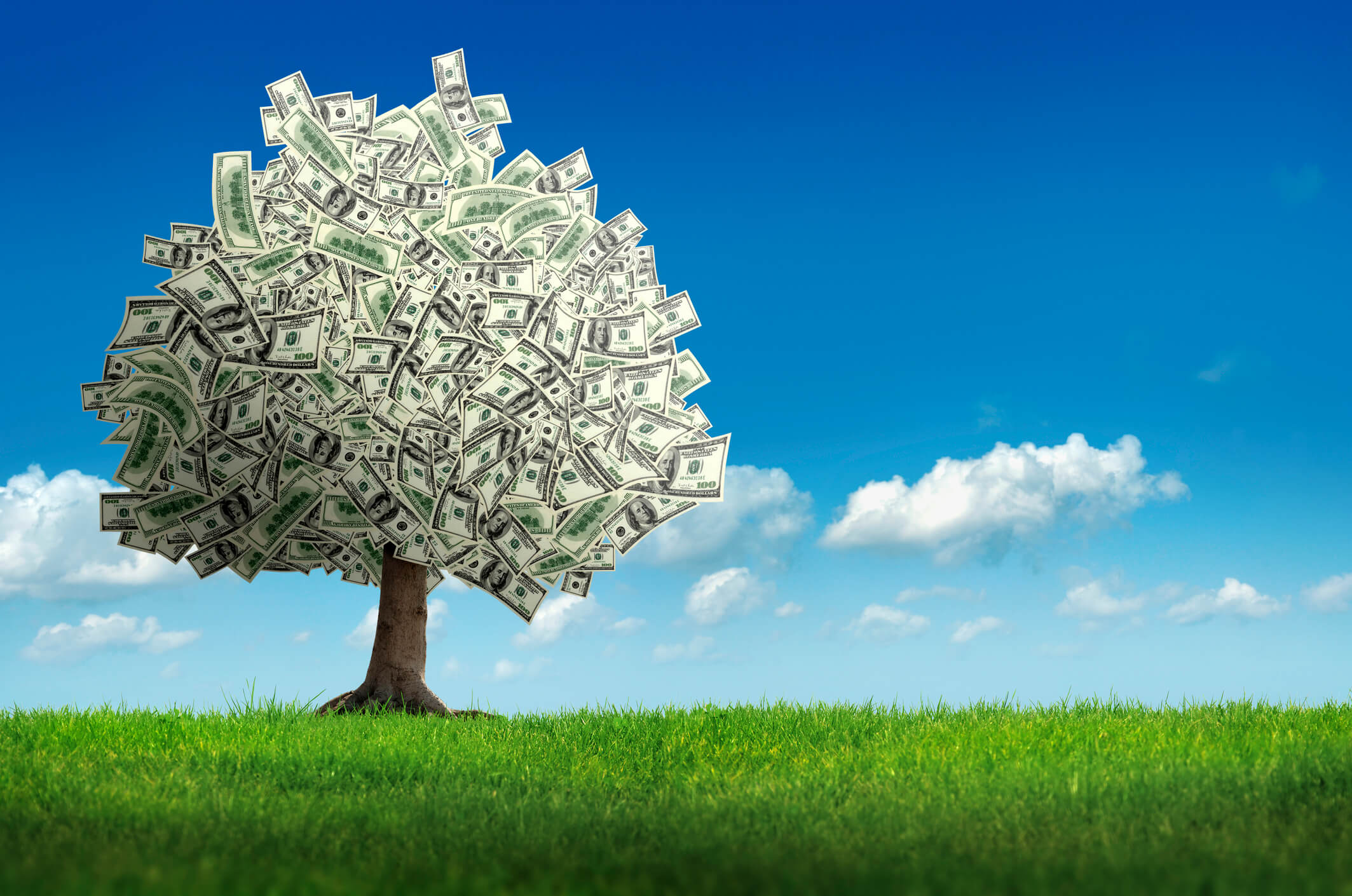 Деньги сена. Дерево с деньгами. Дерево с купюрами. Денежное дерево с деньгами. Дерево из денег.