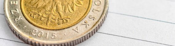 Stopy NBP, inflacja i kurs złotego w 2025 roku – komentarz walutowy z 24.01.2025