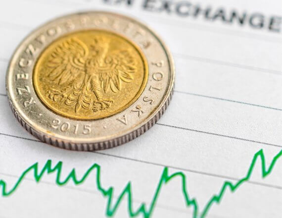 Stopy NBP, inflacja i kurs złotego w 2025 roku – komentarz walutowy z 24.01.2025